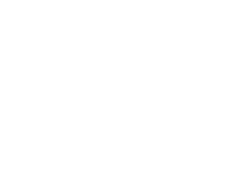 bespoke builds wanaka construction company logo
